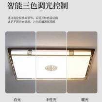 F7NN1 new Chinese style ceiling lamp 2023 new Chinese style modern living room bedroom dining room LED solid wood simple lamp