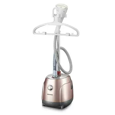 Oaks garment steamer AUX-ZR2190
