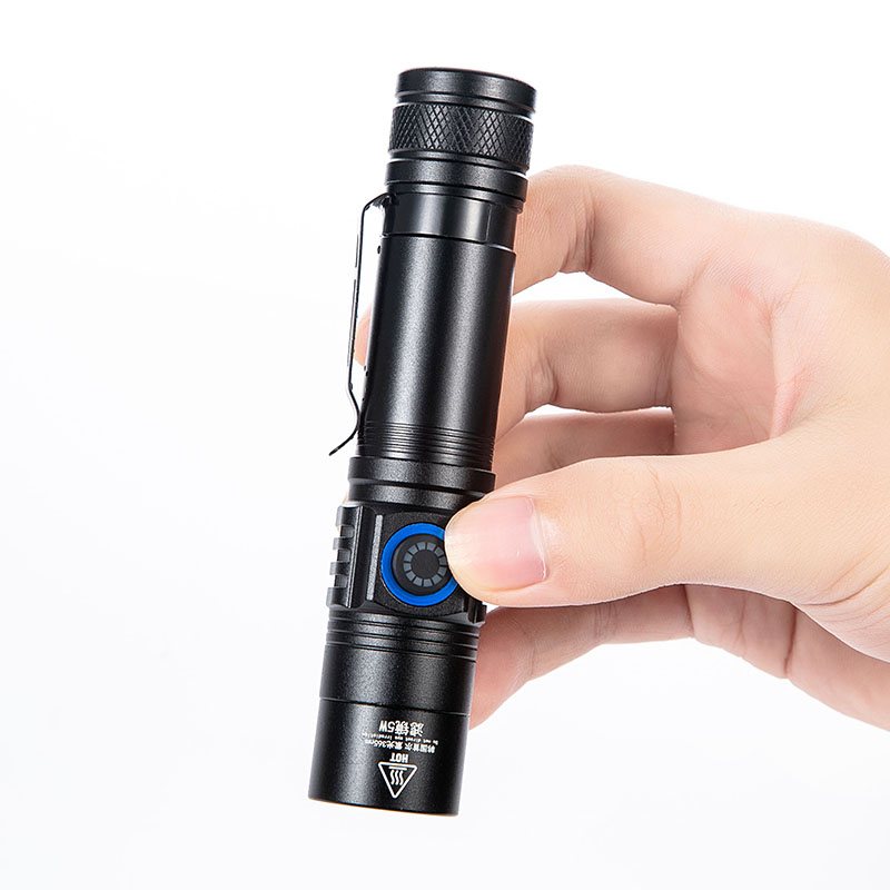 2021 new and old RMB banknote detector lamp dedicated high-power ultraviolet inspection pen charging style detection fluorescent agent with the body