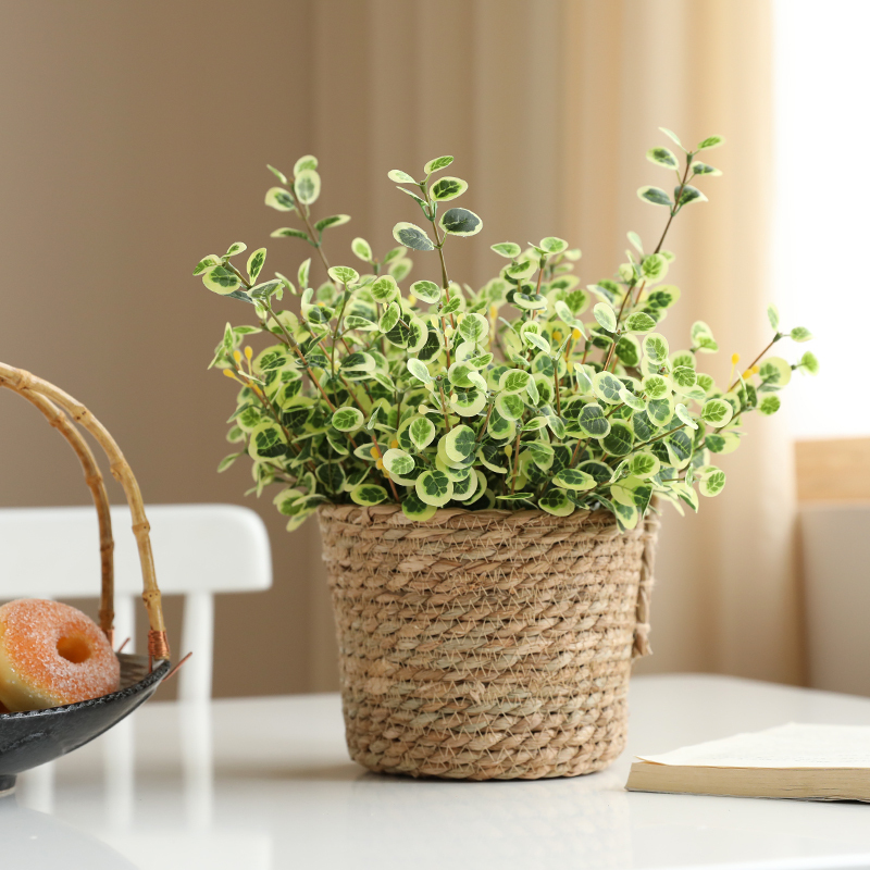 Taihuan ins Nordic Artificial Plant Small Bouquet Set Home Living Room Decoration Green Plant Potted Plant Desktop Ornament Taihuan ins Nordic Artificial Plant Small Bouquet Set Home Living Room Decoration Green Plant Potted Plant Desktop Ornament