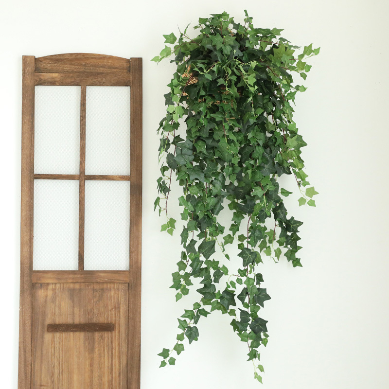 Taihuan ins Artificial Plant Vines for Wall Decoration, Living Room, Storefront, Homestay Green Plant Decoration Taihuan ins Artificial Plant Vines for Wall Decoration, Living Room, Storefront, Homestay Green Plant Decoration