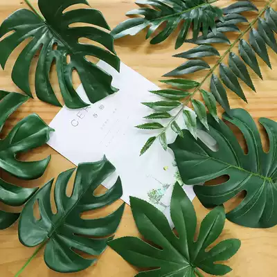 Taihuan ins wind simulation turtle back spring rain leaves scattered tail sunflower green plant desktop decoration wall decoration photography props