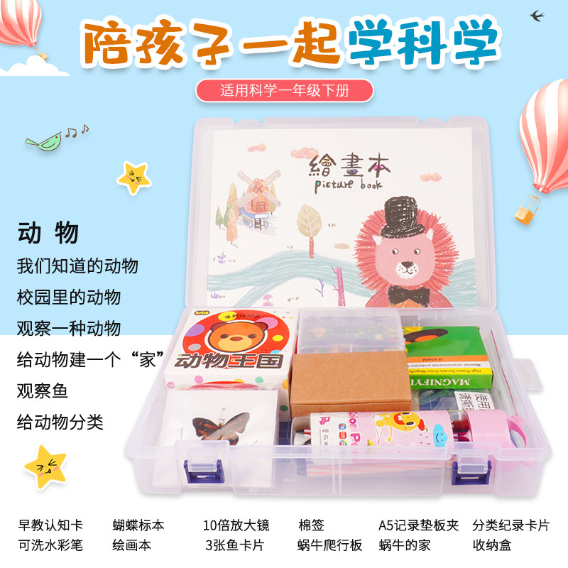 Primary School Science Grade 1 Image Card Little Experimental Set of Diy Materials Experimental Set Children Observing Animal Primary School Fun Observation Fish Toy Drawing Bachelor Box