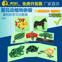 Montessori Montessori Early Education Aids Animal Plant Panel Infant Puzzle Puzzle Building Block Toy