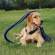 Dog leash p-chain dog training large dog medium dog Labrador horse dog wolf dog thin dog walking rope