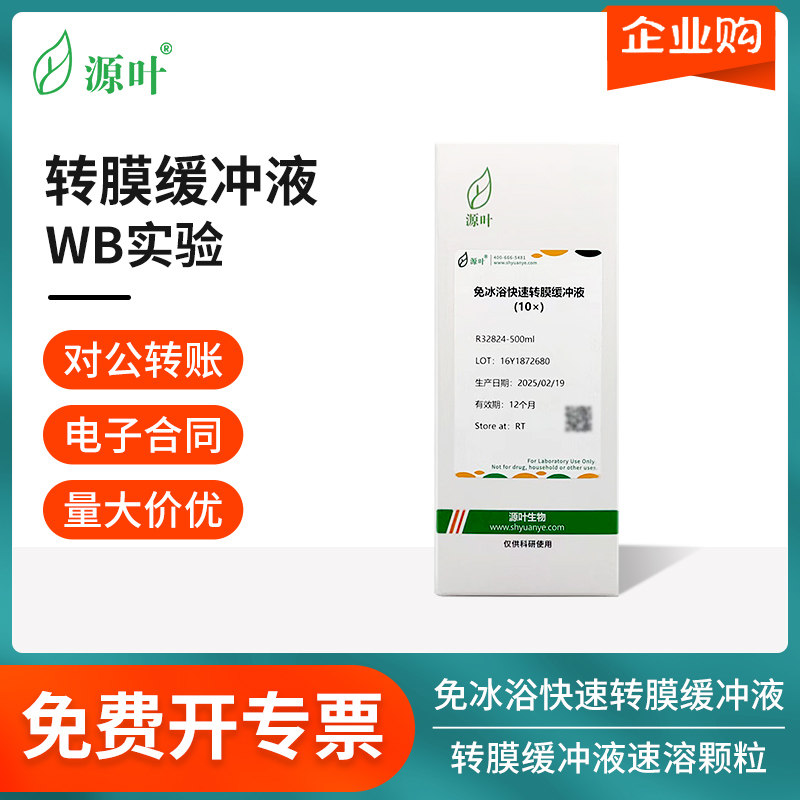 源叶试剂免冰浴快速转膜缓冲液PVDF膜浸润活化液TruPAGE缓冲液