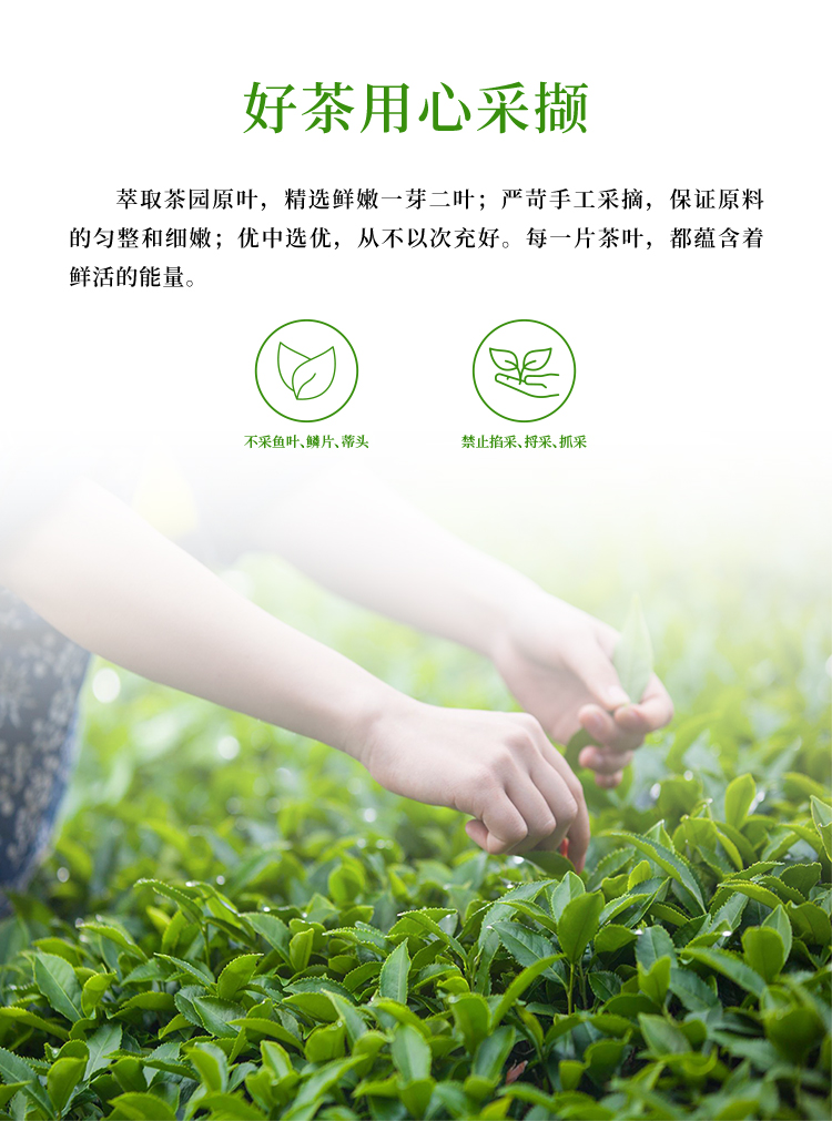 【买1送1】英红牌2022新茶正宗英德红茶