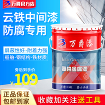 Wanjue epoxy cloud iron intermediate paint Metal steel structure pipe thick paste type closed industrial heavy anti-corrosion anti-rust coating