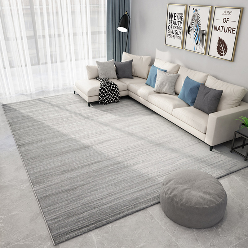 Dongsheng Nordic ins light luxury gray carpet living room sofa coffee table cushion modern minimalist bedroom bedside blanket home