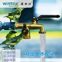 Household dual-use multi-function washing machine faucet dual-use one-and-two garden gardening watering sprinkler equipment