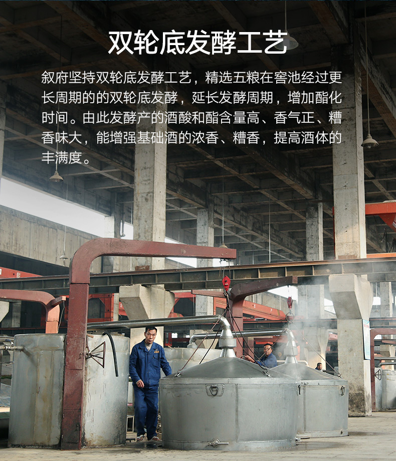 国家银质奖 叙府大曲 蓝标 52度浓香型白酒 500mL*6瓶 双重优惠折后¥198包邮