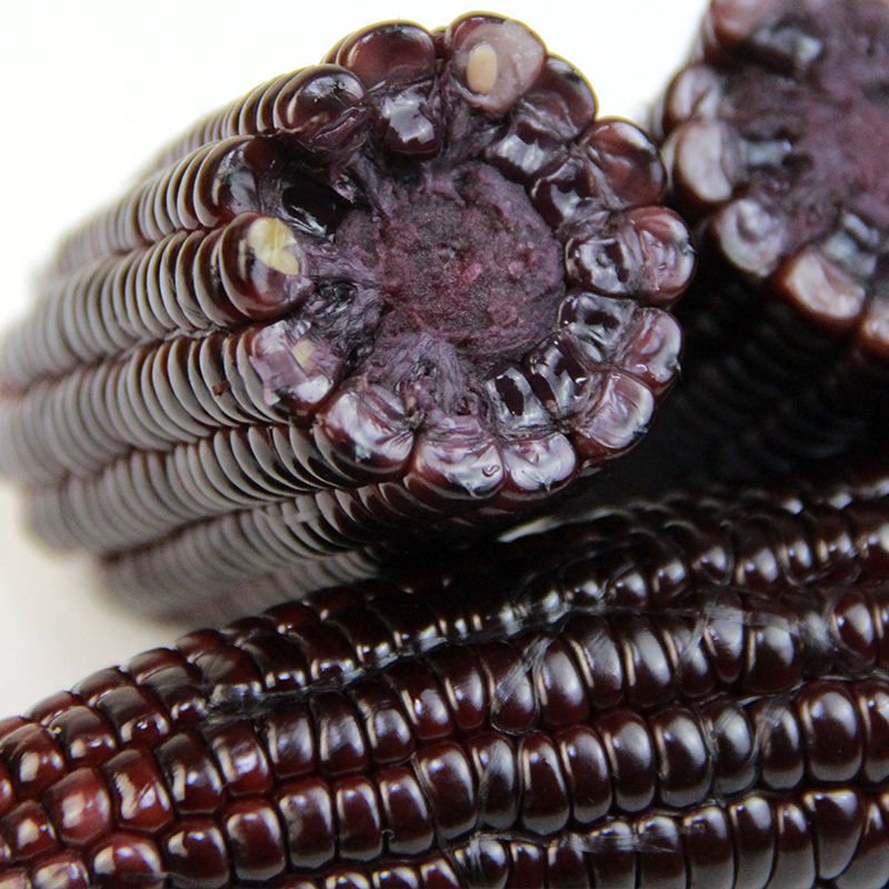 【真空装】东北甜糯黑玉米8根