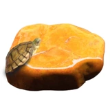 Натуральный желтый восковой аквариум Визит ландшафтный саженцы камней, черепахи, обратно к отдыху, плоский камень