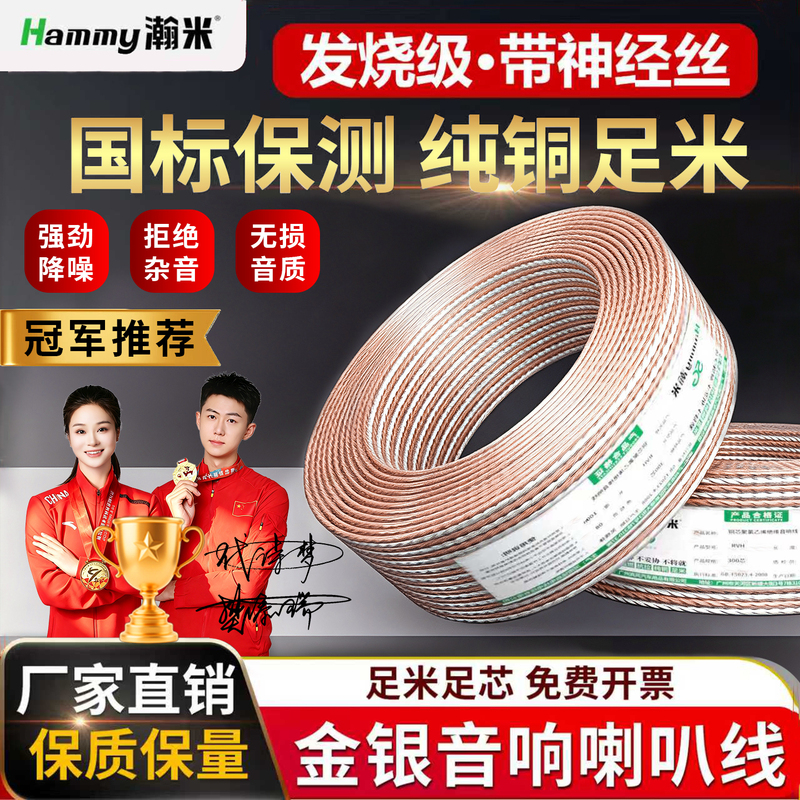 National Standard Speaker Cable, Audio Cable, Gold and Silver Speaker Cable, Oxygen-Free Copper Audiophile-Grade Amplifier Connection Cable, Engineering Cable, Audio Cable