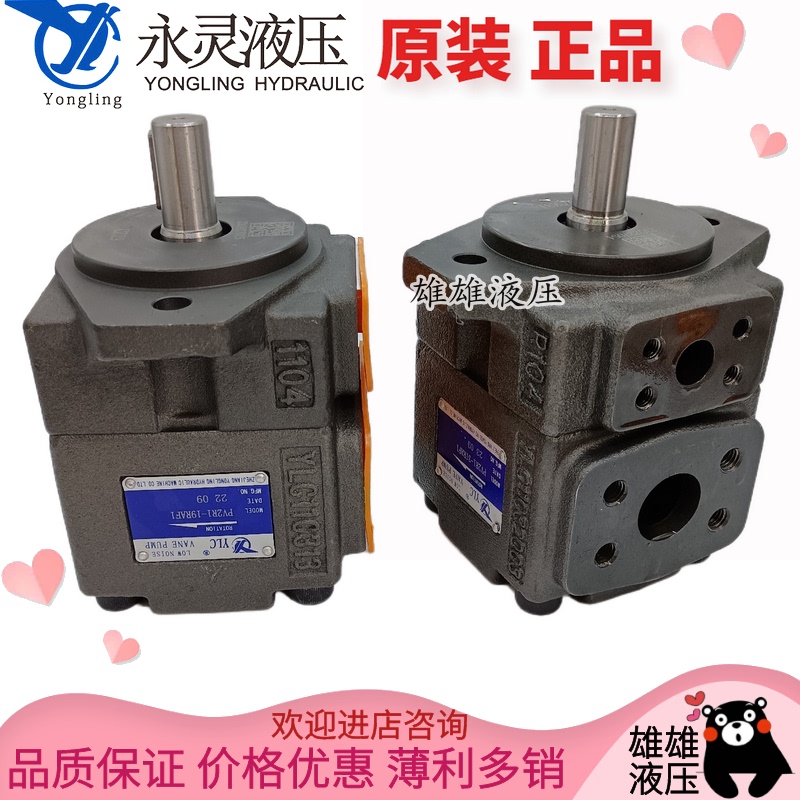 Xianju Ylc Yongling Hydraulic Oil Pump Pv2R1-8 12/14/17/19/23/25/28/31Raf1 Vane Pump Xianju Ylc Yongling Hydraulic Oil Pump Pv2R1-8 12/14/17/19/23/25/28/31Raf1 Vane Pump