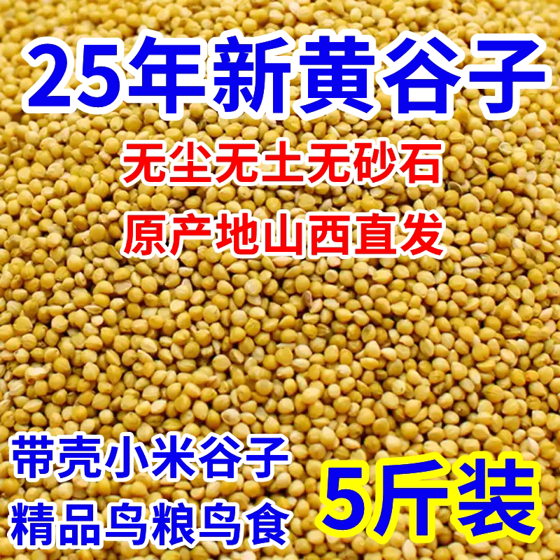 New Yellow Millet with Husk, Tiger Skin, Peony, Cockatiel, Small Parrot, Finch, Lovebird, Sparrow, Large Grain Bird Food New Yellow Millet with Husk, Tiger Skin, Peony, Cockatiel, Small Parrot, Finch, Lovebird, Sparrow, Large Grain Bird Food