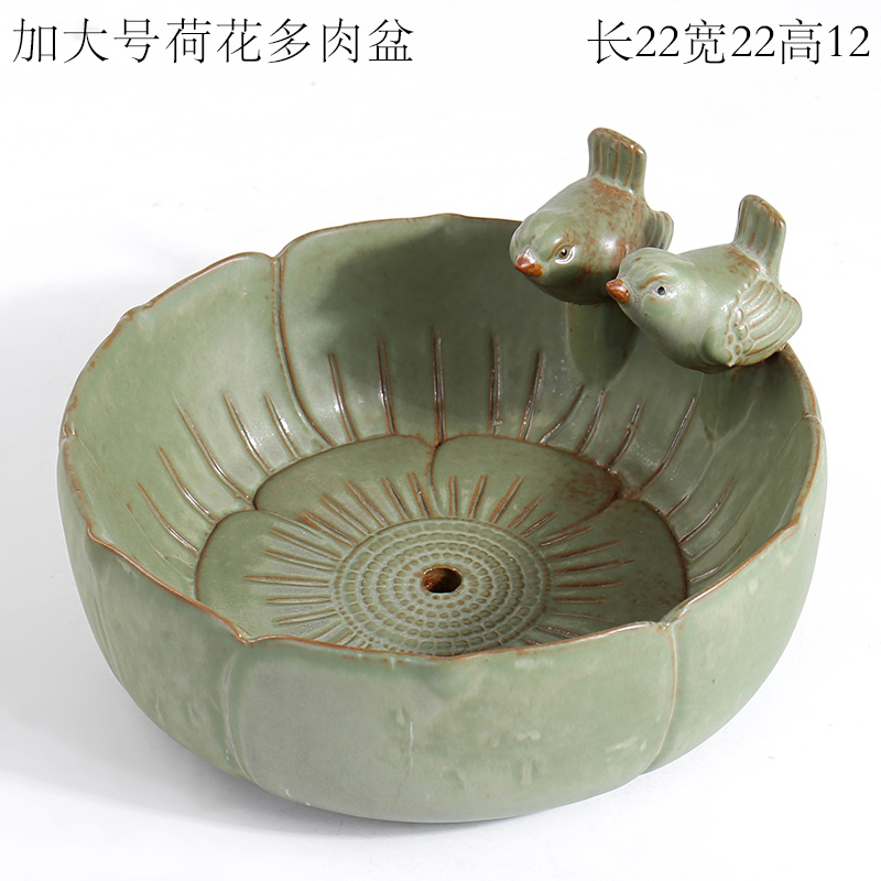 The bird frog rabbit owl duck yard creativity gardening meat flowerpot furnishing articles ceramic yellow duck 's fortune