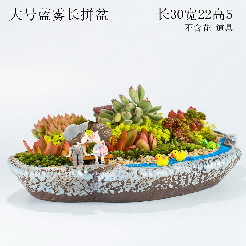 Large caliber oblong micro landscape home office more meat meat platter flowerpot ceramic plant