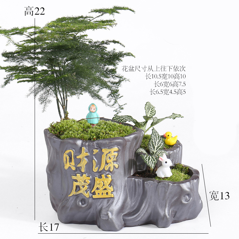 Large green asparagus creative move, lovely jiangnan water flowerpot ceramic purple small house more meat meat the plants