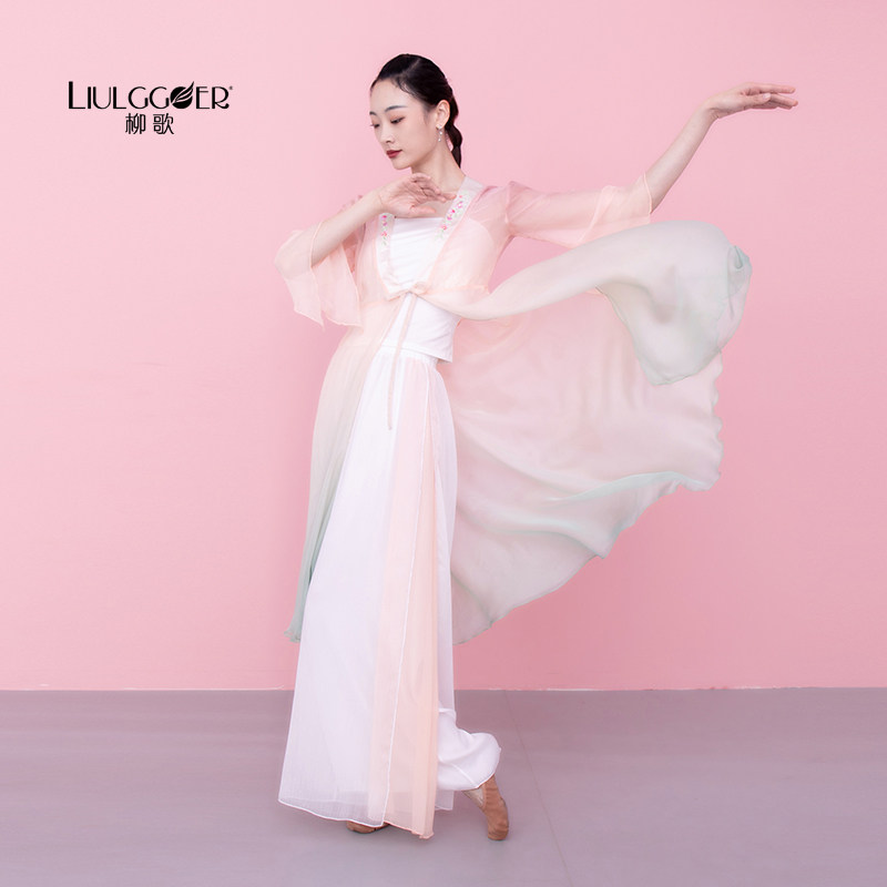 Liuge classical dance costume female elegant fairy top performance costume Chinese dance body rhyme gauze training clothes summer
