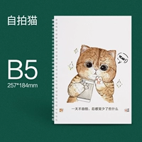 Селфи кошка-B5