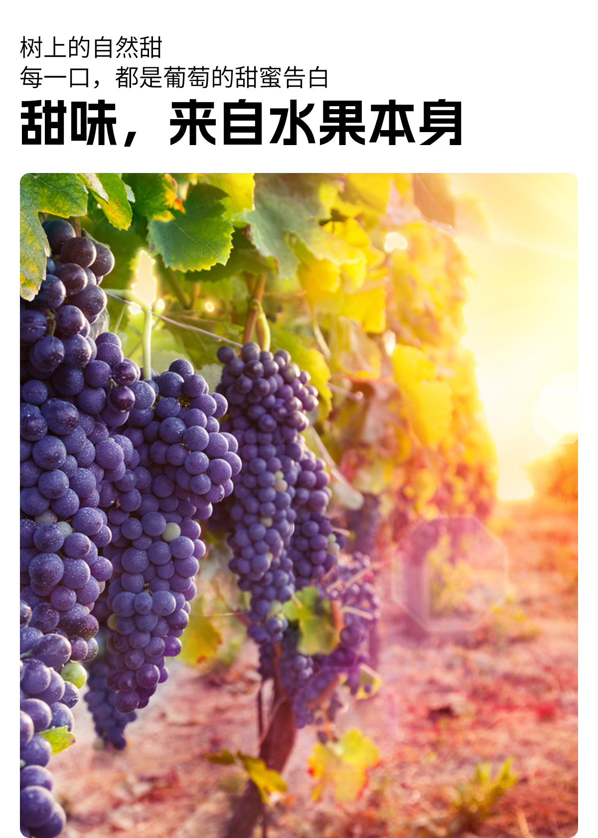 安享好物 安享A级果汁-乐源果蔬秘诀葡萄汁 国标 