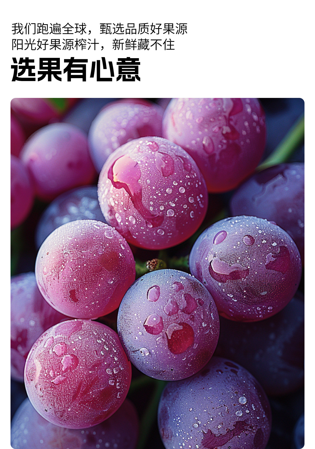 安享好物 安享A级果汁-乐源果蔬秘诀葡萄汁 国标 