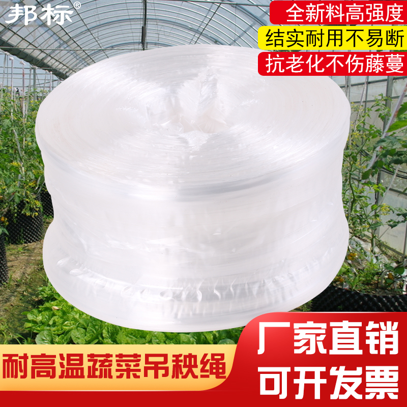 Special high temperature resistant and anti-aging melon and fruit vegetable hanging rope Nylon Rope Fresh material for Bunmark Greenhouse Rope 