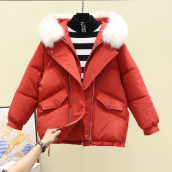 Down jacket ແມ່ຍິງສັ້ນ hooded ຂະຫນາດໃຫຍ່ fur collar 2023 ໃຫມ່ zipper thickened warm loosening ເສື້ອຝ້າຍສີແດງ