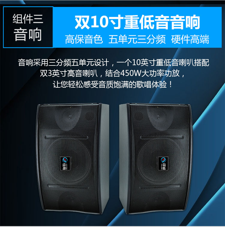 Karaoke Audio Set Home KTV Professional Audio Amplifier Microphone Set