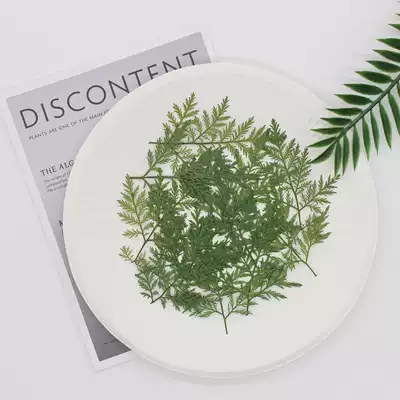 Artemisia annua flower plant leaf specimen Epoxy mobile phone protective shell Children's bookmark photo frame stickers DIY handmade materials
