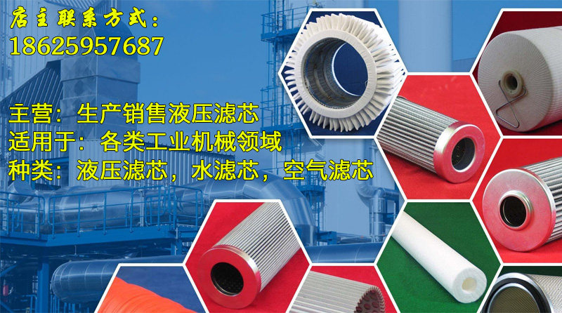 Фильтр pall液压滤芯 hcg300fcn4z hcg300fcs4z 齿轮油滤芯定制