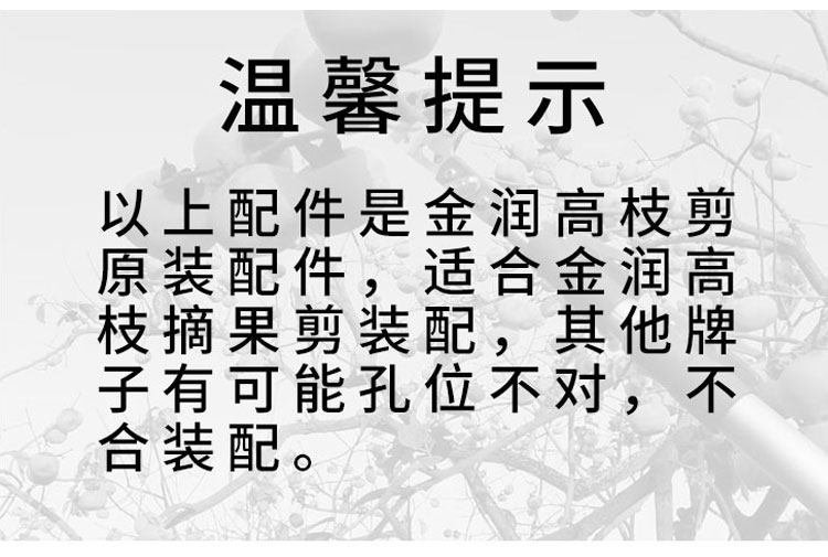 Аксессуары сведения о Restore_10.jpg