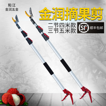 Fruit picker picking lychee loquat longan high branch scissors telescopic 5 meters long pole garden tools fruit tree branch scissors