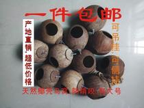 Coconut shell large coconut shell shoes straw crafts parrot pet hamster nest bird nest food bowl