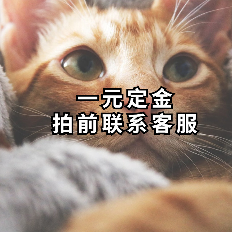 RMBone contact customer service before the RMBone deposit postage superlink shoot