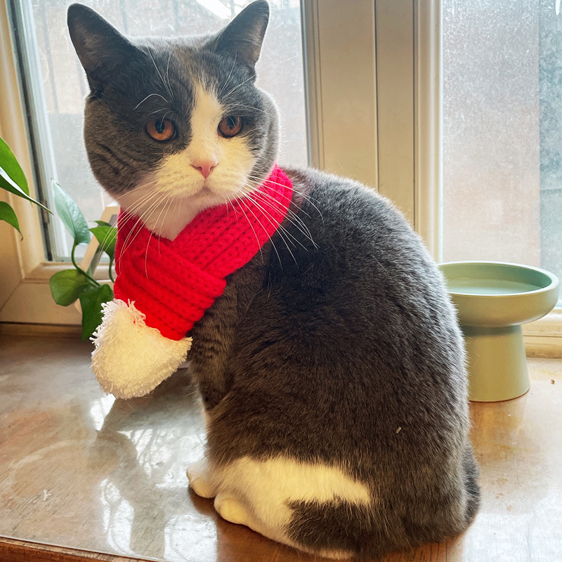 Knock on cute kitty scarves New Year Red Scarf Kirky Short English Short Cloth Puppet Ornament Pooch Cute Scarves