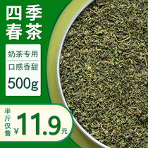 Four seasons spring tea milk tea shop special raw fruit tea four seasons green oolong tea big bag 500g loose tea tea