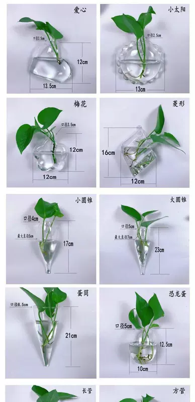 Tường thủy canh bình thủy tinh treo tường chậu hoa củ cải xanh treo tường bể cá đơn giản hiện đại bình nhỏ - Vase / Bồn hoa & Kệ