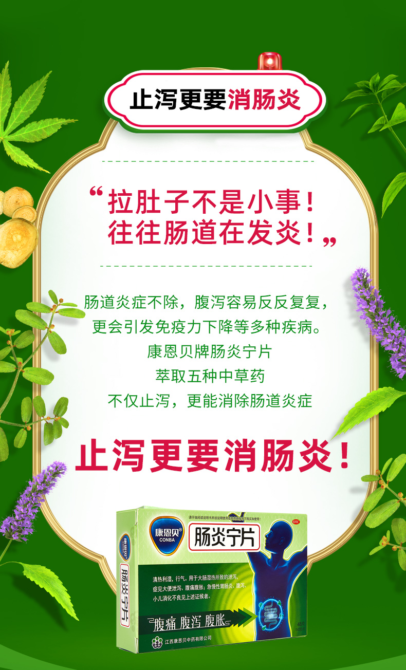 康恩贝 肠炎宁片 48片 图2