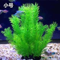 鱼缸装饰 仿真水草 水族造景假水草装饰 柔软水草花 塑料水草绿色