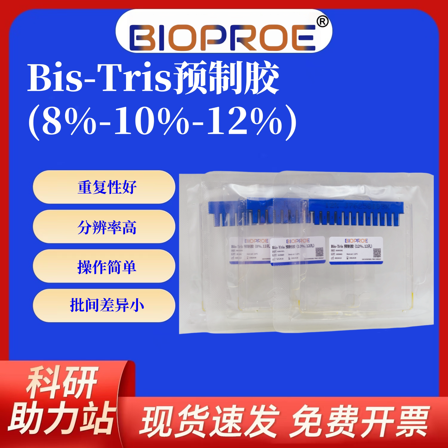 Bis-Tris预制胶SDS-PAGE电泳WB蛋白分离均一/梯度胶12孔