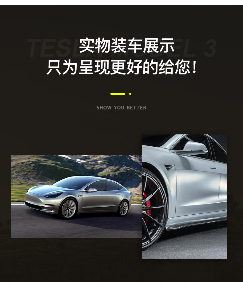 TESLA DETALIS_16.JPG
