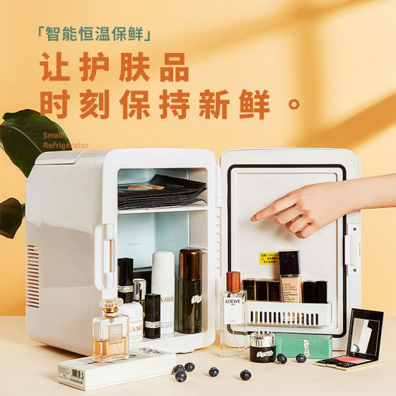 SAST迷你小冰箱家用学生宿舍妆面膜保湿水果冷藏车载两用冰柜