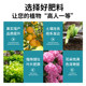 Flower fertilizer, household general compound fertilizer, vegetable agricultural vegetable slow-release fertilizer, potted nitrogen, phosphorus and potassium ternary compound fertilizer