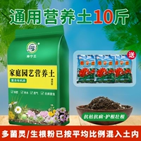 Органическая пищевая почва 10 Catties +3 Bao Clivia