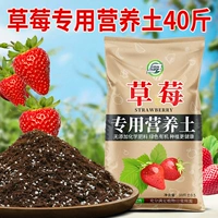 40 котловых почв.
