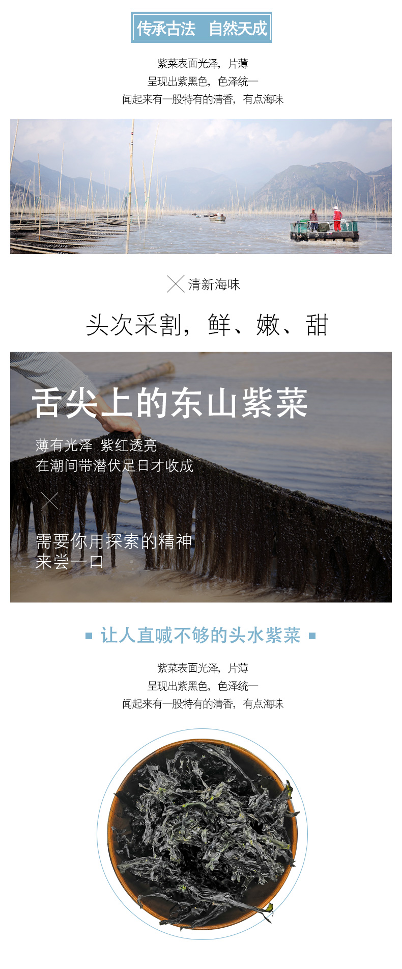 福建 东山岛特级免洗 头水无沙紫菜 38g/袋 图2