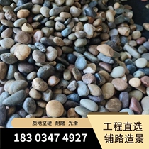 Pebble filter material filter cushion gravel stone paving stone filler fish tank courtyard flower pot landscaping wastewater Hubei