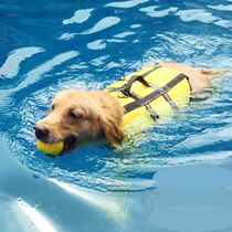 Dog life jacket dog pet swimming circle clothes play water special summer clothes medium and large pet dog play water supplies